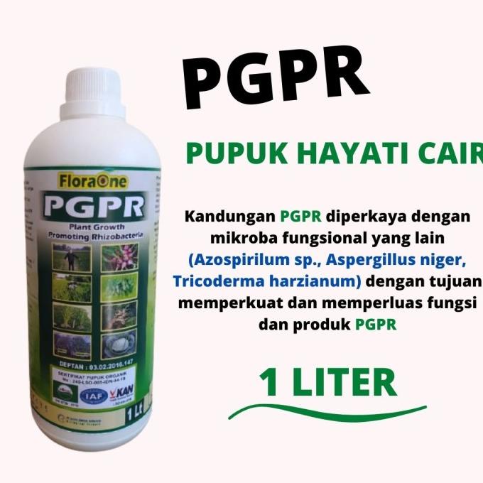TRICODERMA Fungisida Obat penyakit akar putih, Pupuk Hayati Cair PGPR