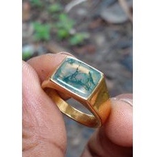 lumut suliki kristal kotak