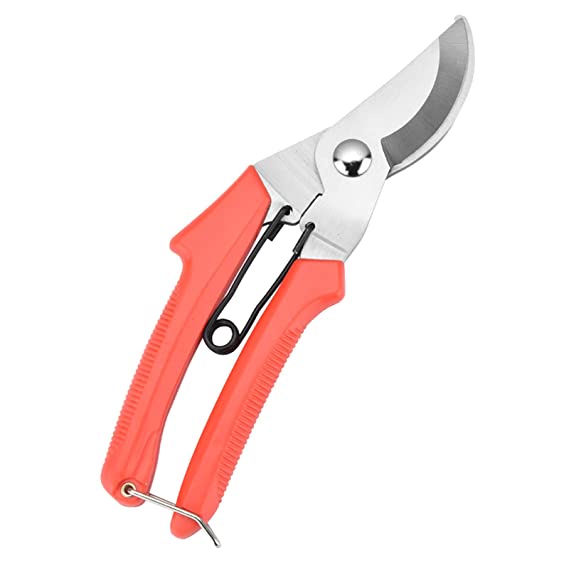 Gunting Pruning