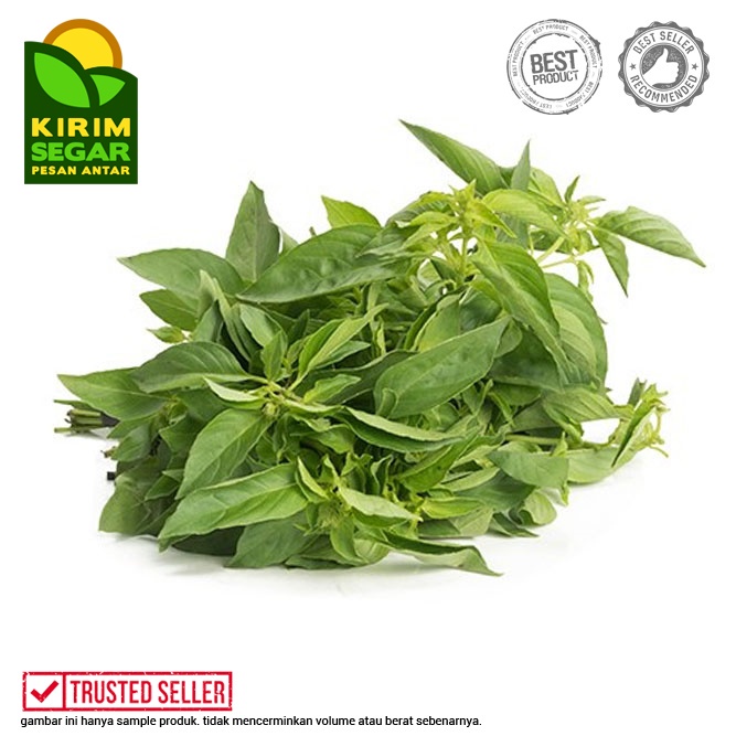 

Daun Kemangi / Daun Kemangi Segar / Kemangi Lalap / Pack/Ikat