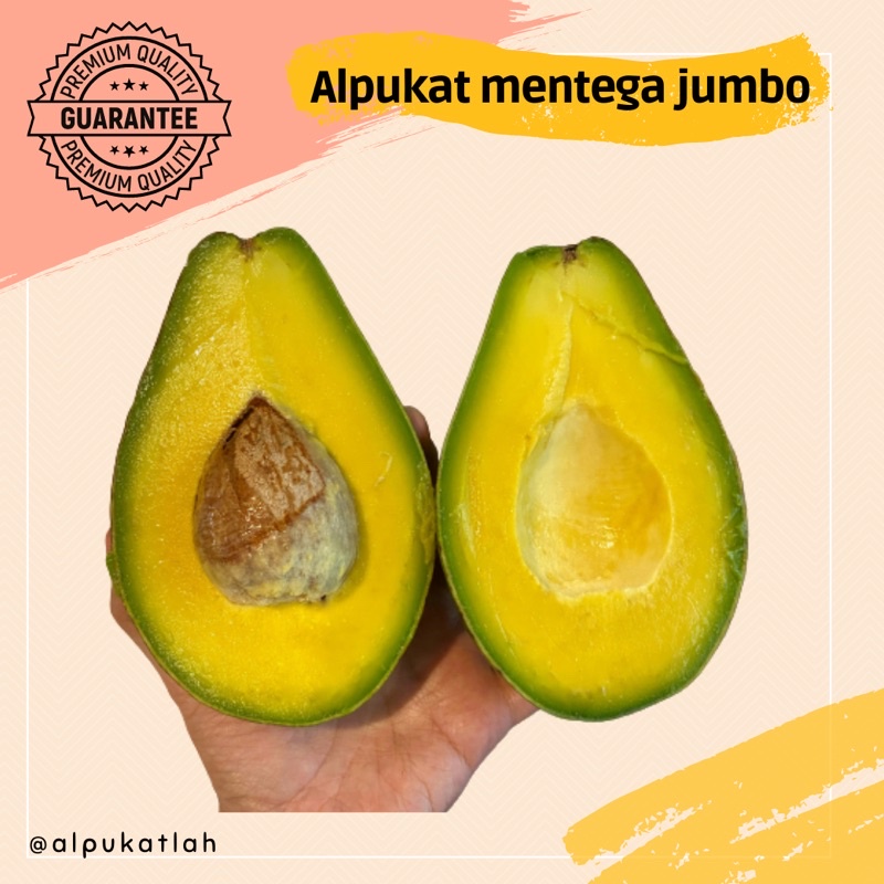 

Alpukat Mentega Jumbo paket 2kg