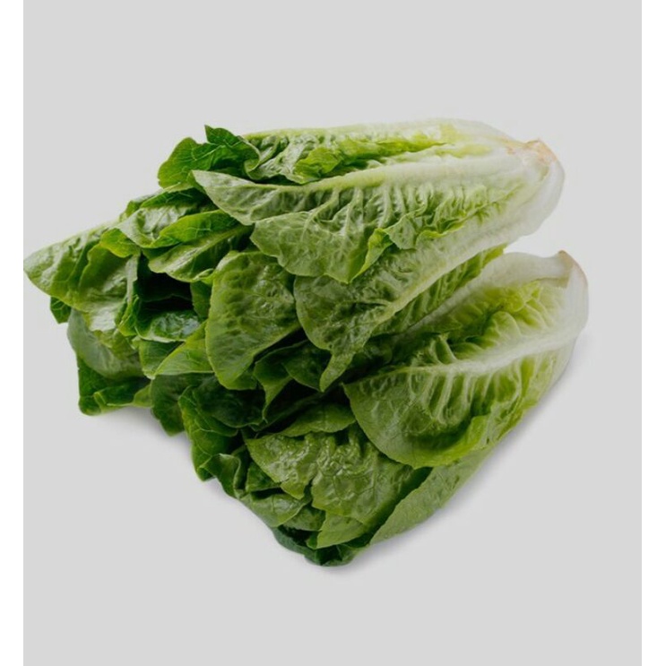 

Sayur Sawi Putit 500g