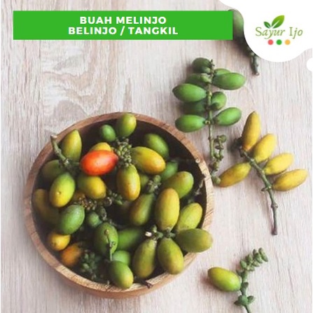 

Buah Melinjo 240 - 250 Gram Fresh Biji Belinjo Sayur Hijau Tangkil Segar