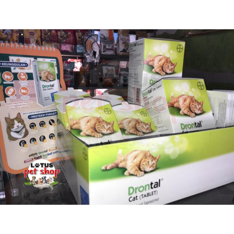 Drontal obat cacing kucing Original