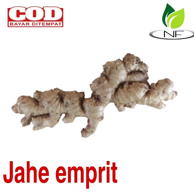 

jahe emprit 500 gram