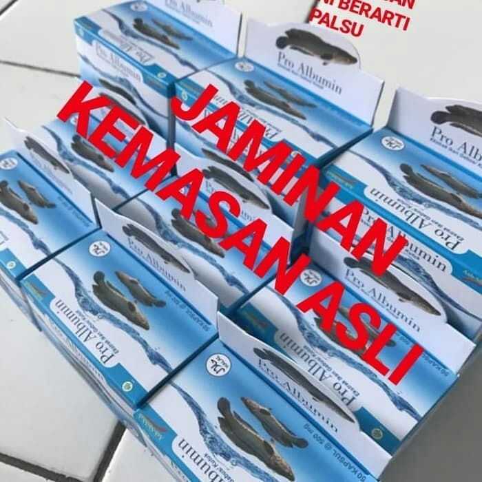 

PRO ALBUMIN / IKAN GABUS / IKAN KUTUK ASLI TERBUKTI AMPUH