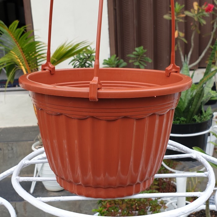 (LUSINAN) POT GANTUNG PUMBA 20 (12pcs) Pot Gantung Merah Bata Putih