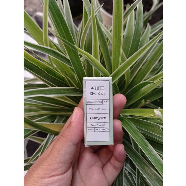 MANTULAJAA – GEAMOORE VSCENT Perfume / Parfum Kewanitaan MISS V 3ml-VSCENT-WHITE SECRET