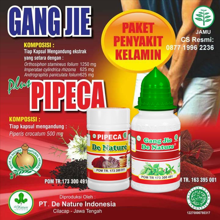 Jual Obat Varikokel Obat Buah Zakar Bengkak Testis Bengkak Sebelah Kiri Testis Nyeri Testis 9262