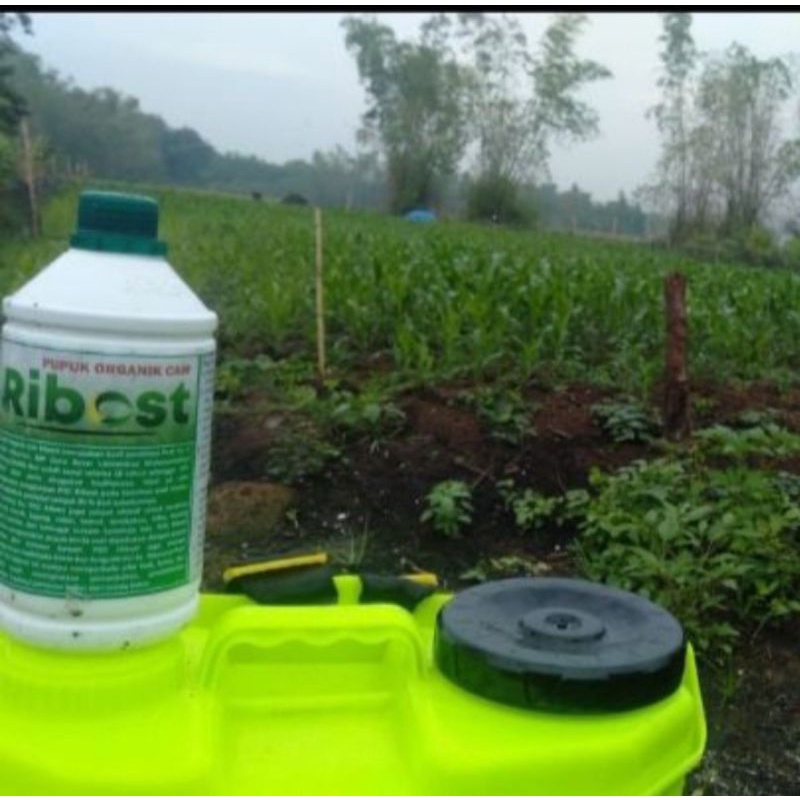 Pupuk Organik Cair "Ribost"