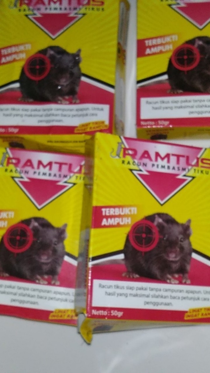 Racun Tikus Ramtus Asli Alami Mati Kering Tidak Bau Pembasmi Pengusir Tikus Paling Ampuh 12 Pack