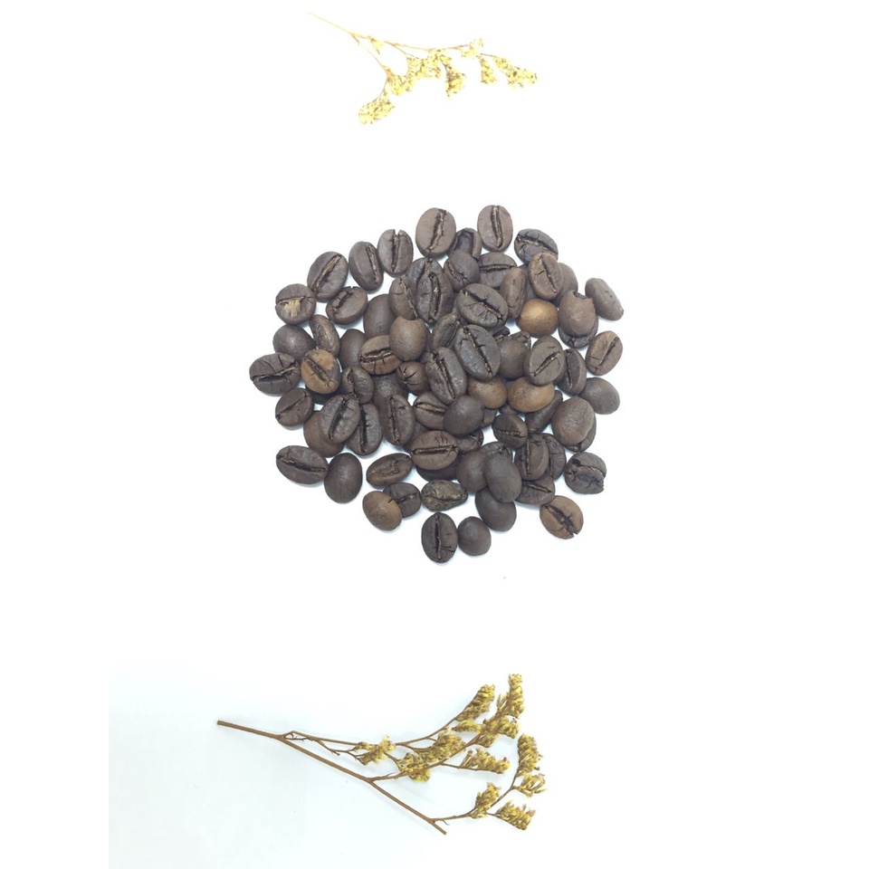 

Kopi Robusta 100 gram Biji Kopi Robusta Lampung 100gr