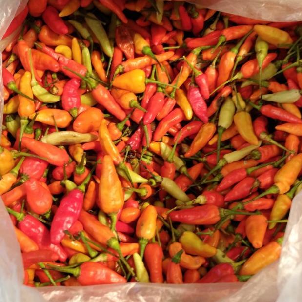 

Ω cabe rawit merah 500 gram ♣