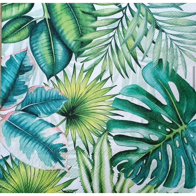 Tissue Decoupage Eropa