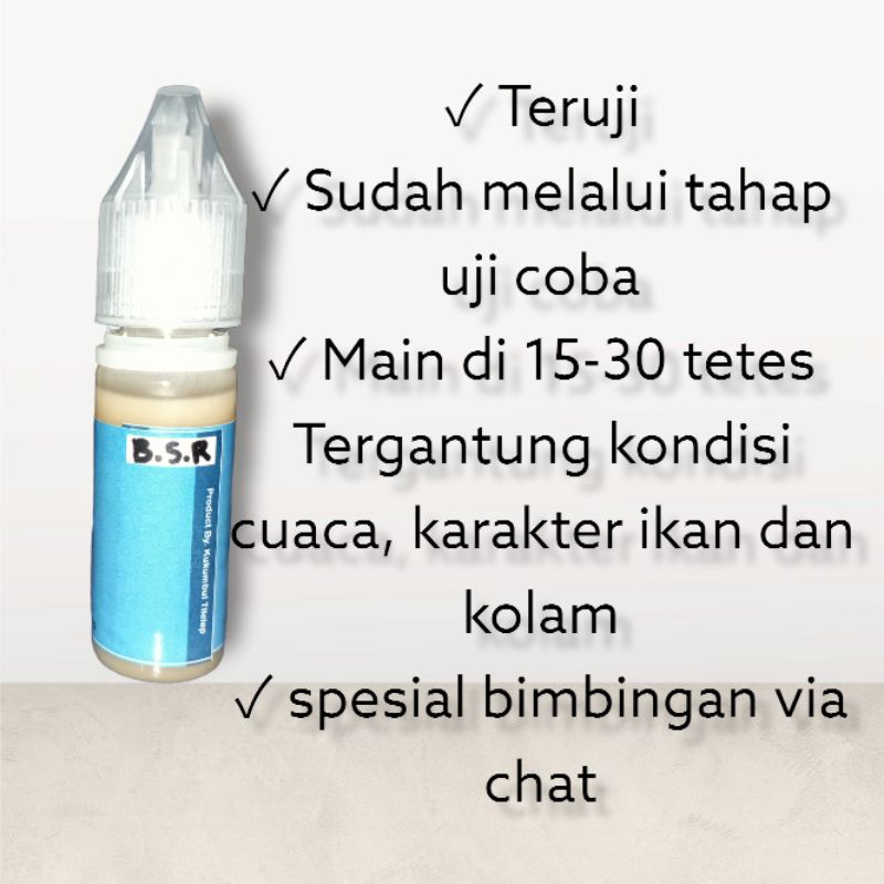 Essen Musim Dingin -Blenok Sirih-, Essen musim hujan, Essen untuk cuaca dingin, Essen gacor, Essen paling bagus