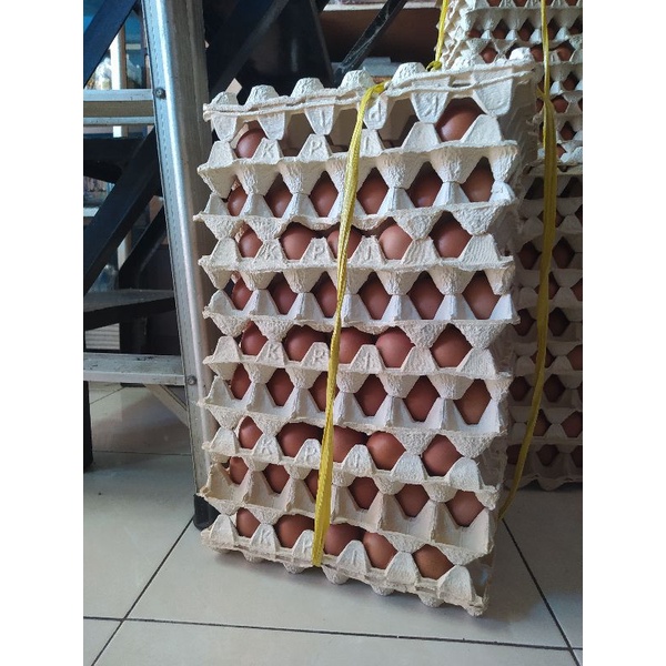 Telur Ayam Negeri 15 Kg (1 ikat tray/peti)