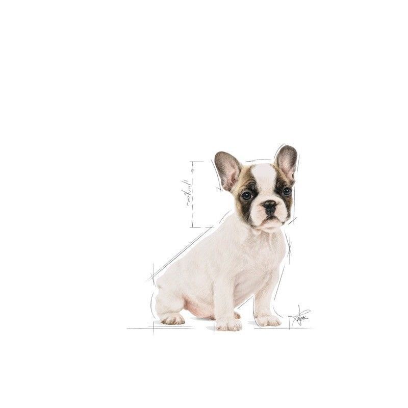 Royal Canin French Bulldog Puppy 3kg / RC khusus Anjing French Bulldog