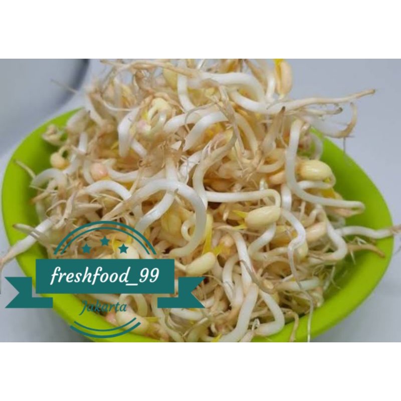 

sayuran segar kecambah / tauge / toge 250 gram sayur murah sayur segar