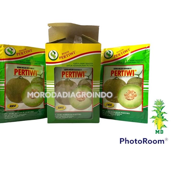 Modern.. Benih/Bibit melon Pertiwi anvi F1 13 gram by pertiwi