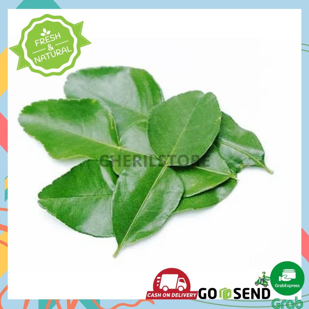 Daun Jeruk daun salam 1 paket