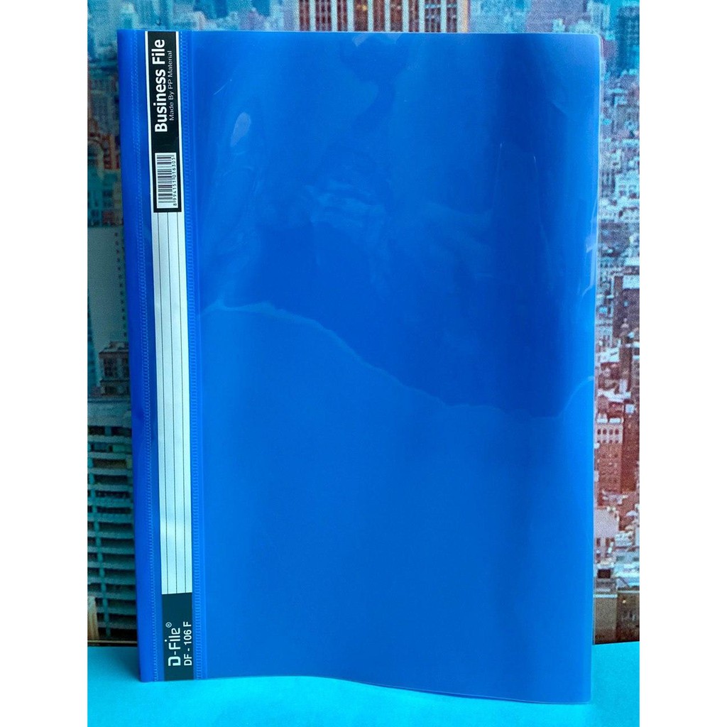 

BUSINESS FILE DF 106F