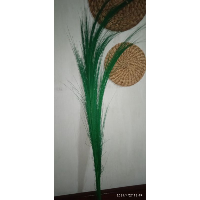 rayung bapingan
