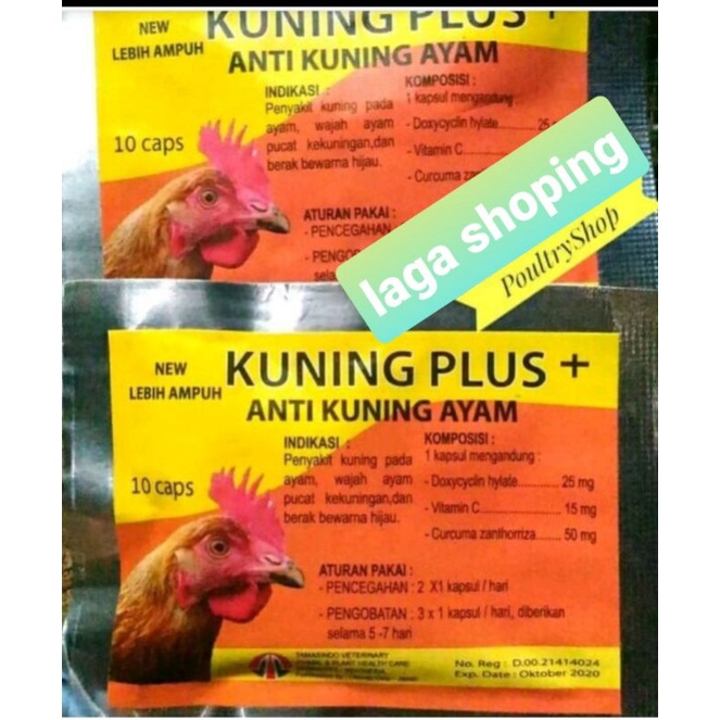 2bks kuning plus 20 pil obat ayam sakit kuning pucat pias nafsu makan lemas asli ori max liver plus