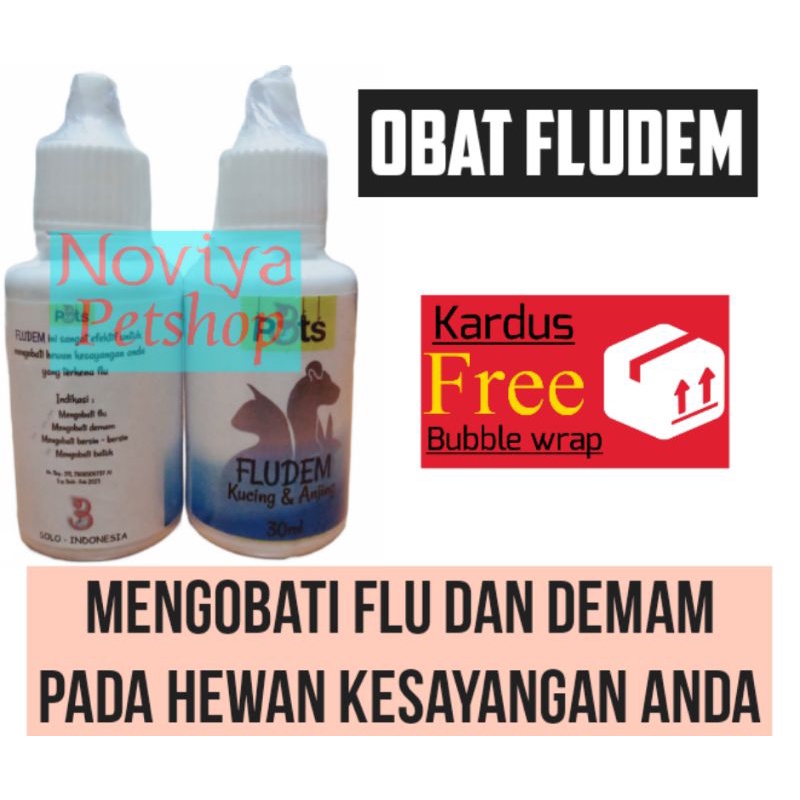 Obat flu dan demam kucing anjing