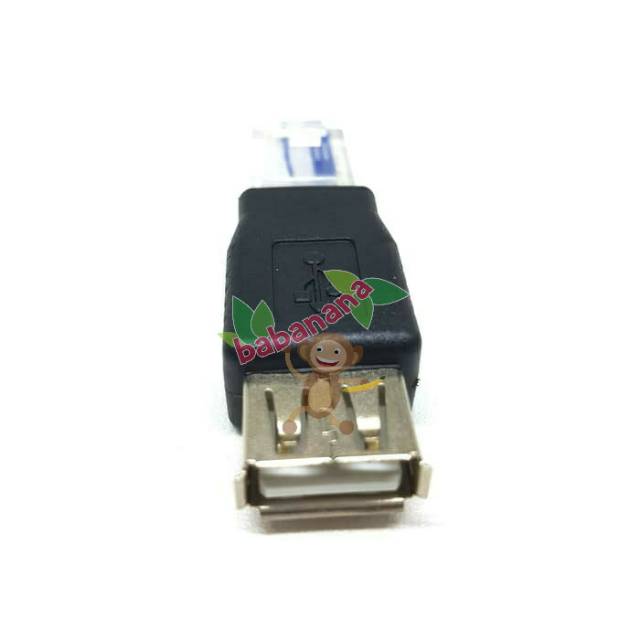 USB Female Type A to RJ45 LAN ethernet adapter converter