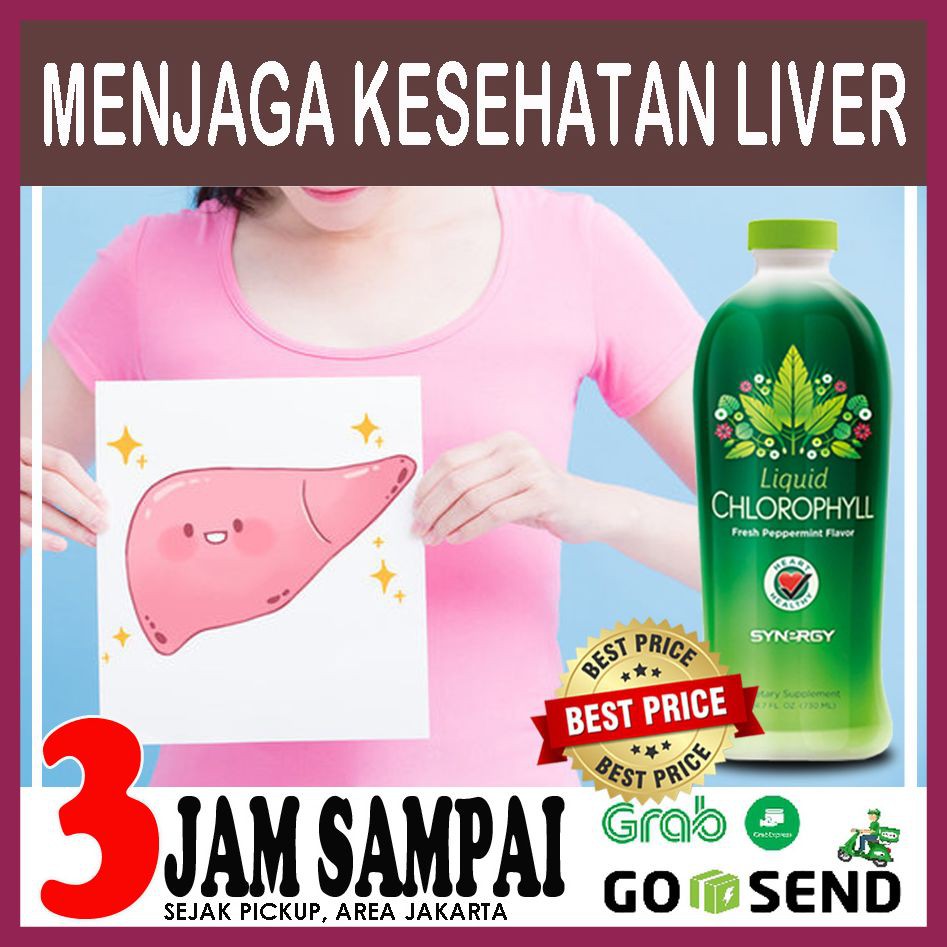 SOLUSI MENYEMBUHKAN MENJAGA KESEHATAN LIVER Chlorophyll Plus Synergy