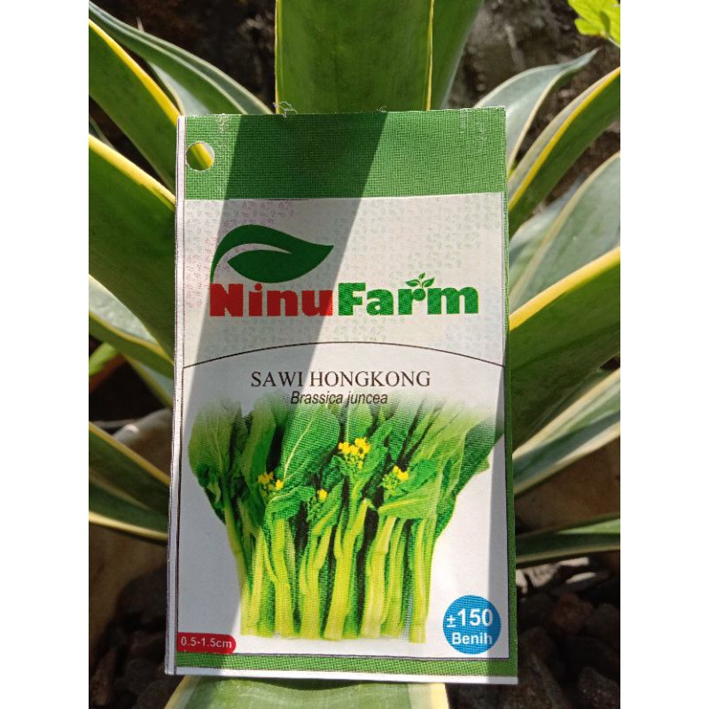 150 Benih Sawi Hongkong Ninu Farm