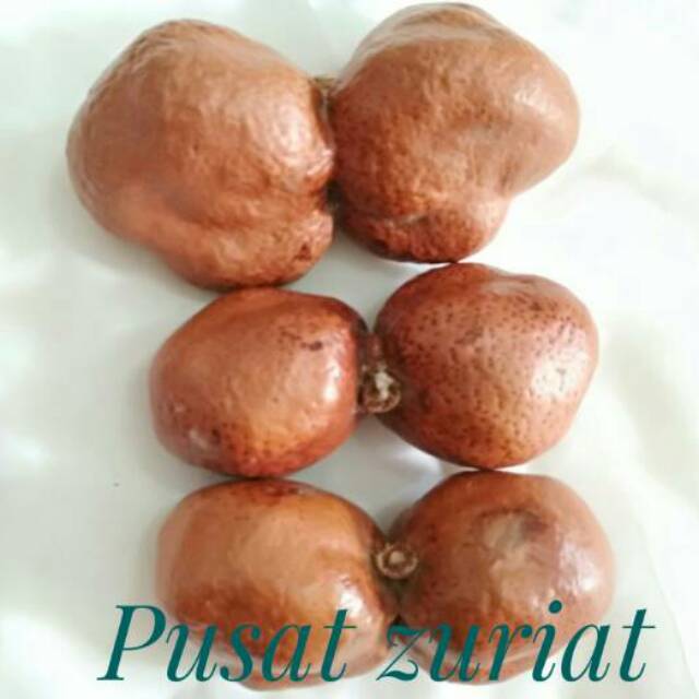 

Zuriat kembar 500 gram buat promil buah Adam hawa