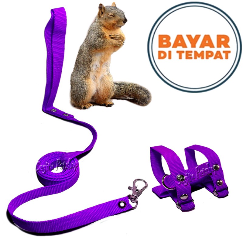 TALI TUNTUN TUPAI TALI SUGAR GLIDER HARNESS TUPAI TALI TUPAI MODEL H UNTUK SEMUA UKURAN BADAN PANJANG 1,5 METER