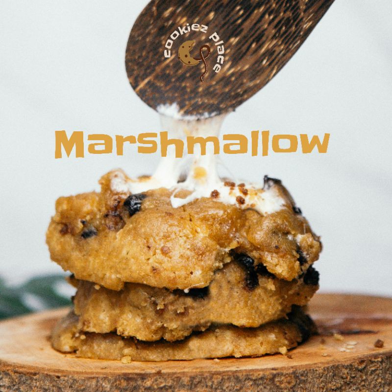 

Marshmallow / Smores Baked Soft Cookies