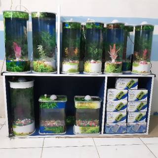 44+ Aquarium Cupang Lampu Gratis