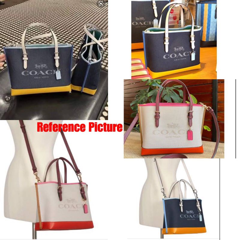 Coach Mollie Tote 80676 with box SPA Mirror