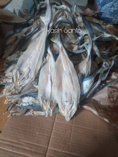 

Ikan Asin Cucut Belah-1Kg