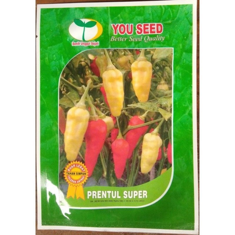 Benih Cabe Prentul Super original 10gr  You seed