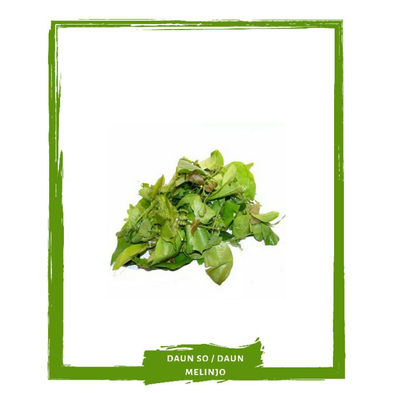 

Daun So / Melinjo / Sayur Sayuran Segar By Mallahrizwa