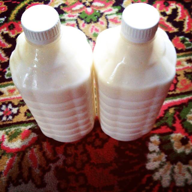 

Susu kefir sapi