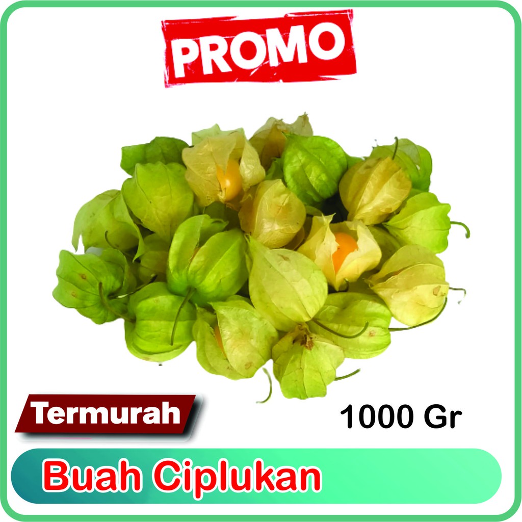 

Ciplukan 1 kilo gram fresh