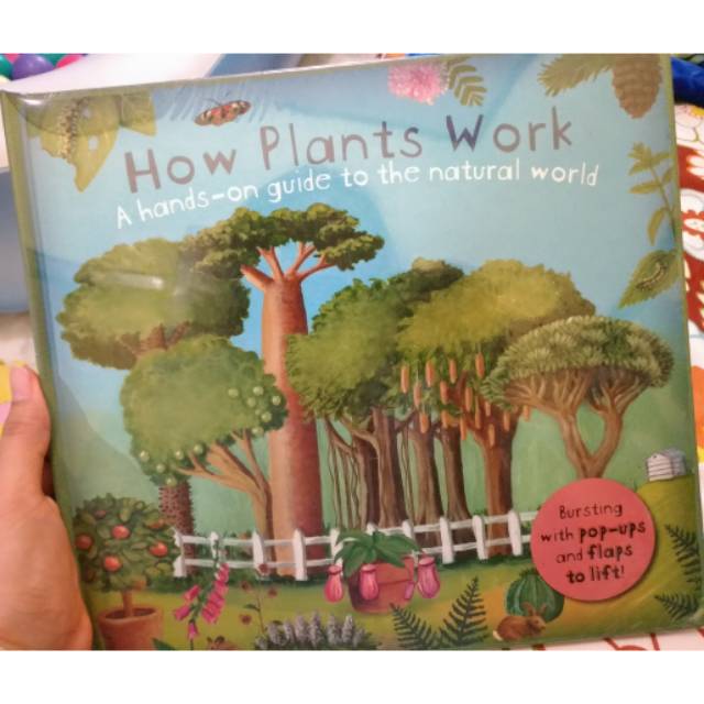 How plants work