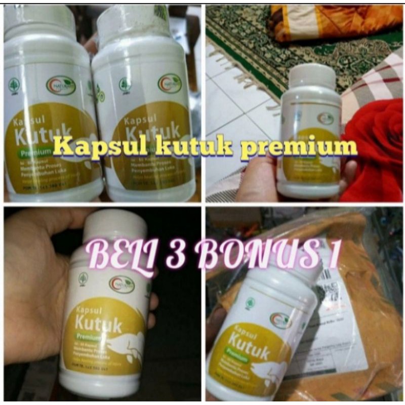 Kapsul kutuk albumin herbal alami