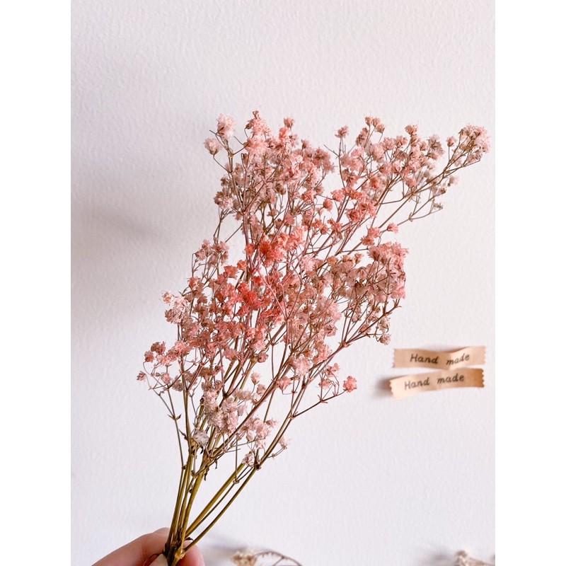 

Dried Babybreath Flowers in Peach/ Bunga Kering baby breath Salem