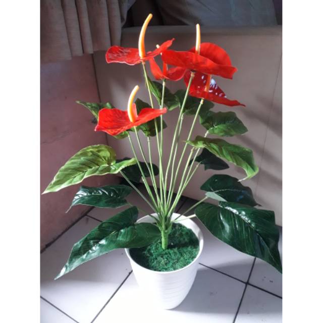 Tanaman Bunga anthurium palsu anthurium artidicial Monstera