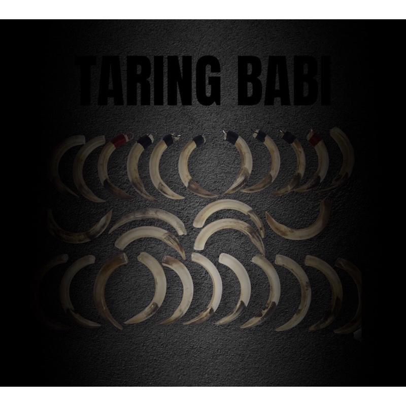 (COD) SIZE JUMBO TARING BABI LIONTIN ORIGINAL