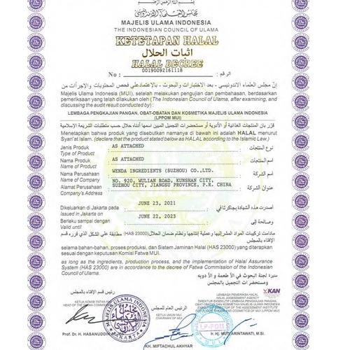 

Best Produk.. Wendaphos M17 || Blend phosphate, lebih optimal dari STTP || Pengenyal bakso 93