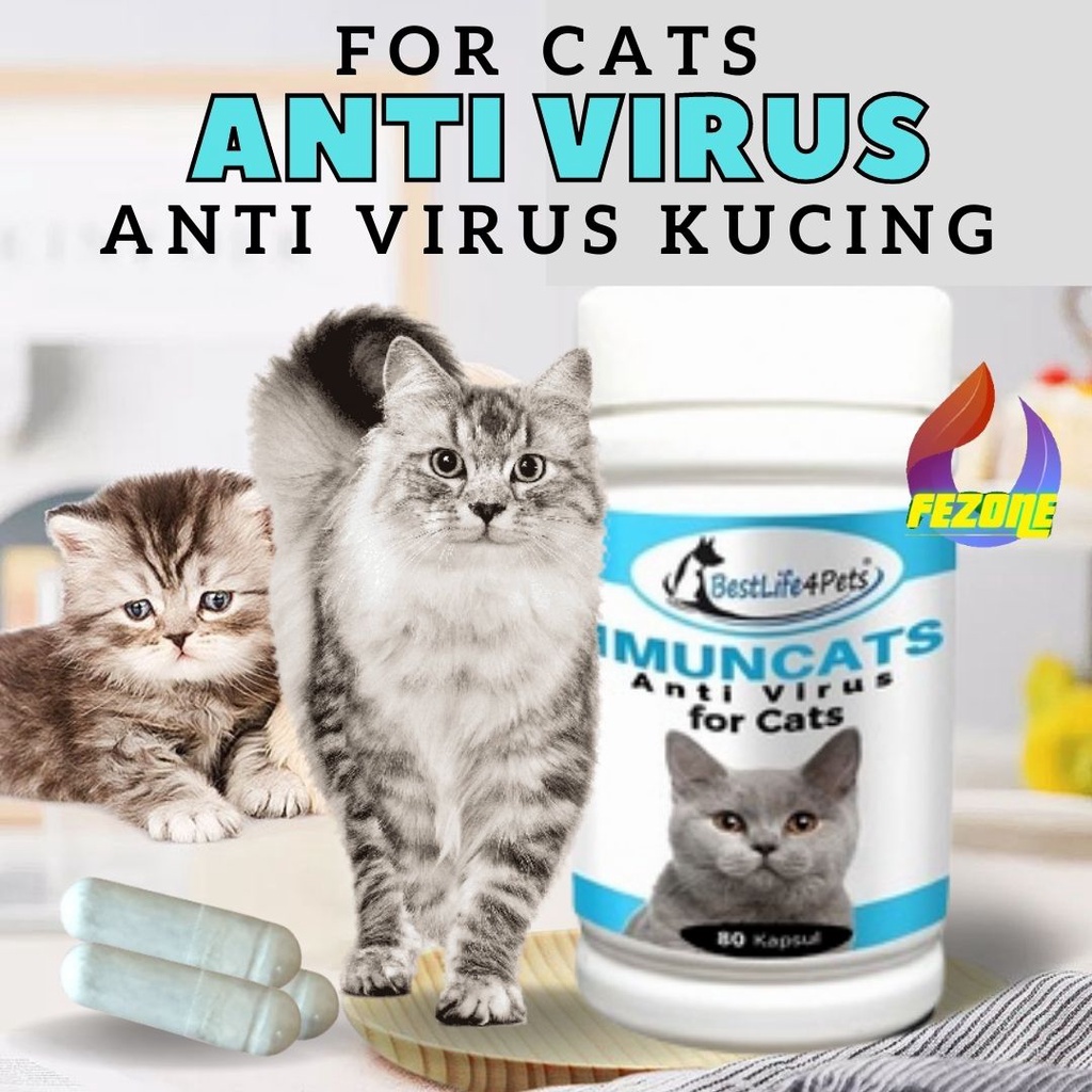 Obat Antibiotik Kucing Cat Kitten Anti Bakteri Virus Meningkatkan Imun Kucing FEZONE