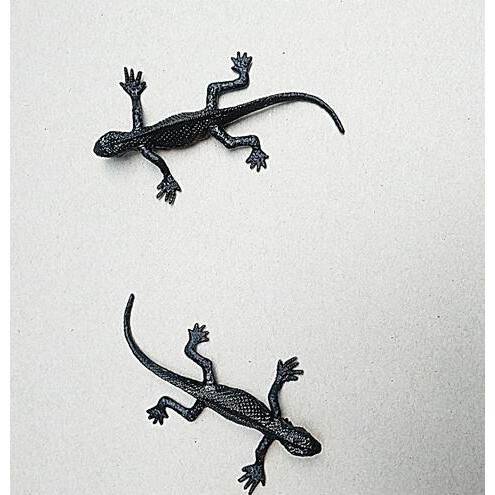 Animal Cicak Karet Mainan Anak Figure Hewan