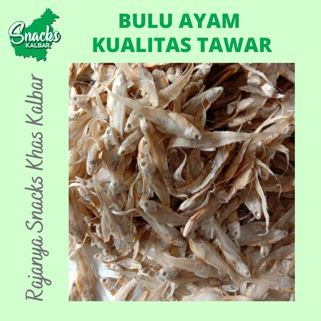 

Ikan Asin Bulu Ayam/ Hong Bue Pou/ Ronjeng Tawar Grade A 1kg asli Pontianak/Kalimantan